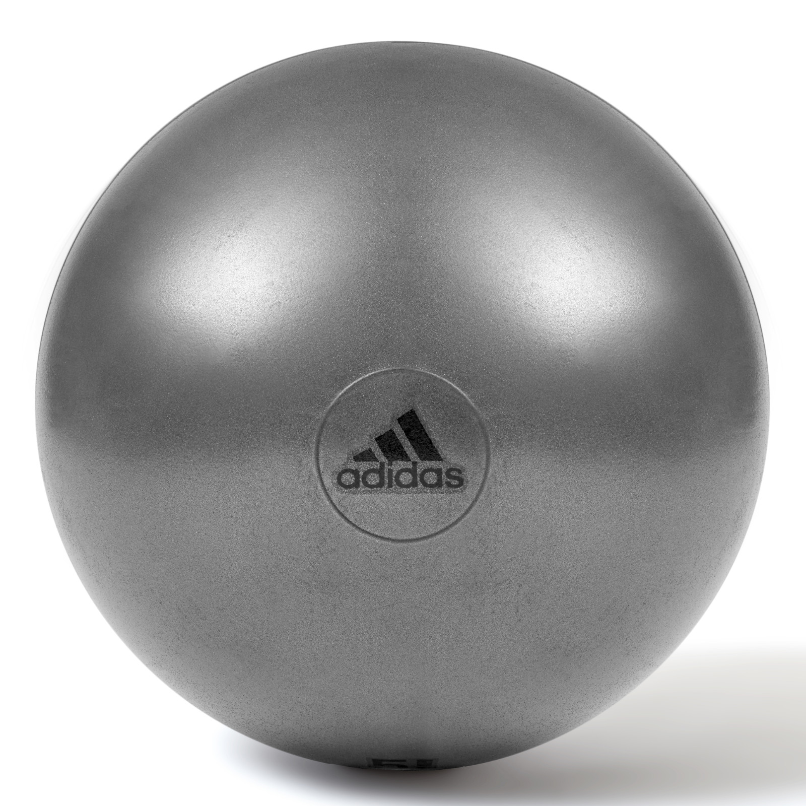 Adidas Gym Ball 75 cm grau ADBL-13247GR