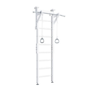 Wallbarz Gym Ladder ECO 1.1